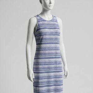 Banana Republic Blue and White Sleeveless Midi Dress